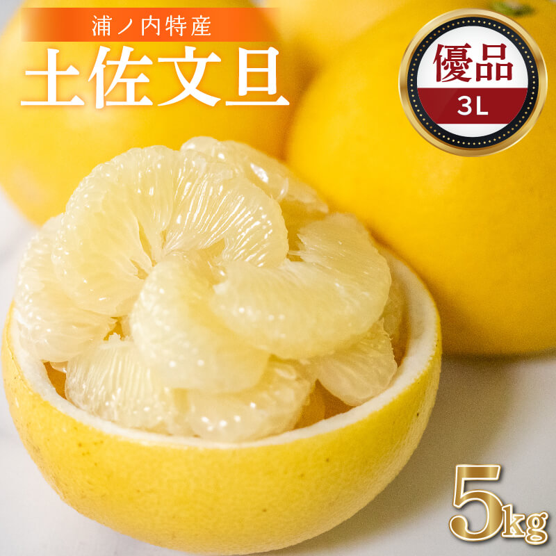 大人気　訳あり文旦　20kg 柑橘　10 楽天市場】文旦 訳あり 10kg 送料無料の通販