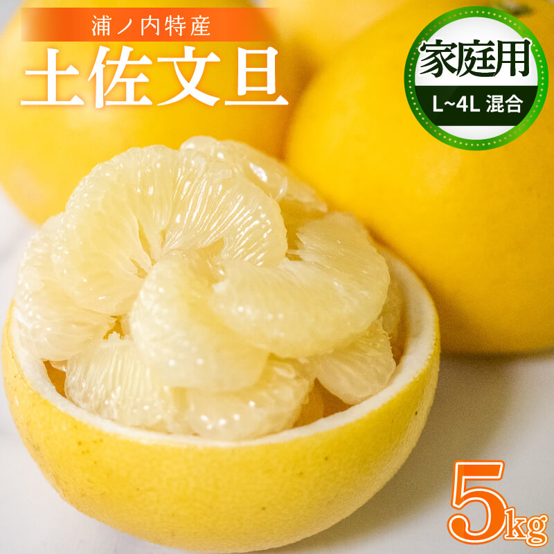 大人気　訳あり文旦　20kg 柑橘　05 大人気 訳あり文旦 20kg 柑橘 30 果物