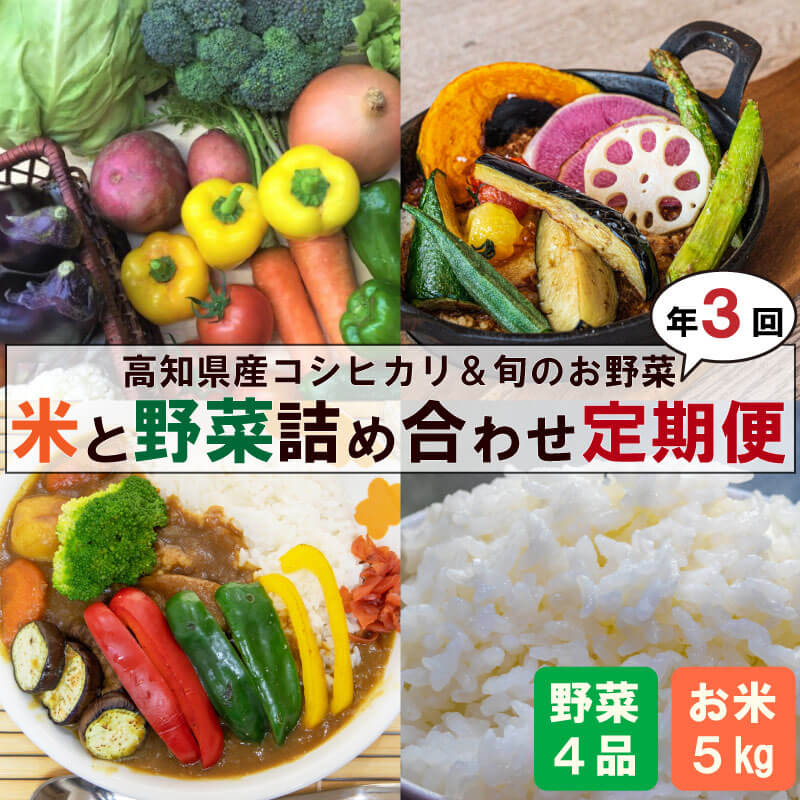 【ふるさと納税】 R7 新米 コシヒカリ 野菜 3ヶ月 定期便 新米 5kg 野菜 4品以上 セット ｜ 新鮮 朝採れ 野菜 ごはん 米 お米 白米 精米 セット 詰め合わせ 産地直送 高知 須崎 きゅうり 大根 ナス トマト じゃがいも カボチャ さつまいも キャベツ 白菜 トマト