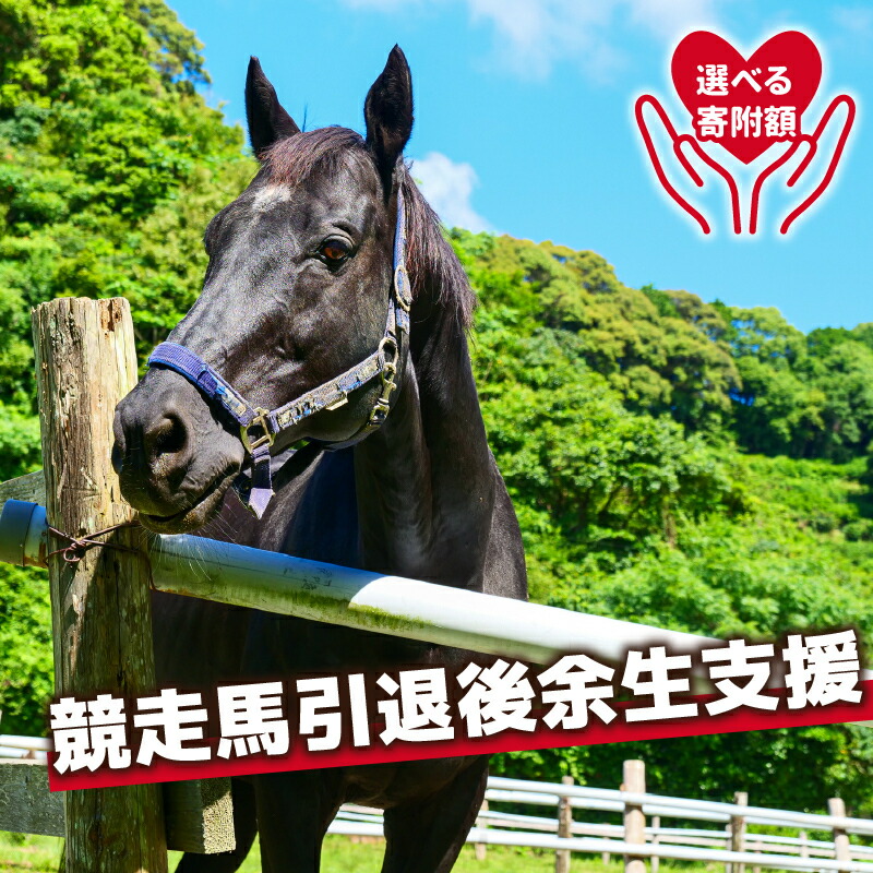 アウトドア 特集