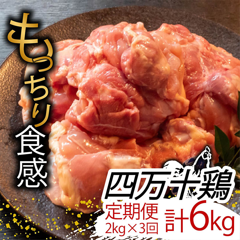 【ふるさと納税】 【定期便3回】銘柄鶏 四万十鶏 もも肉 計6kg（2kg&times;3ヶ月連続お届け) Sコース | 切身 カット 時短 小分け カット済み 鳥肉 とりにく 鶏もも 冷蔵 国産 ブランド 唐揚げ 煮物 鍋 チキン 南蛮 高知県 須崎市 ふるさと納税鶏肉定期便 鶏肉 定期便 TM21000｜高知県須崎市