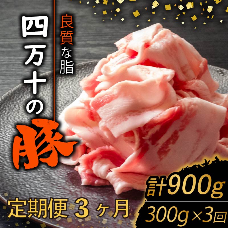 【ふるさと納税】 【定期便3回】四万十ポークスライス 計900g(300g×3ヶ月連続お届け) Vコース | 豚肉 豚バラ肉 小分け 小間切れ スライス 切り落とし 冷凍 真空パック 簡単調理 細切れ 大容量 肉 高知県 須崎市 ふるさと納税豚肉定期便 TM24000|高知県須崎市