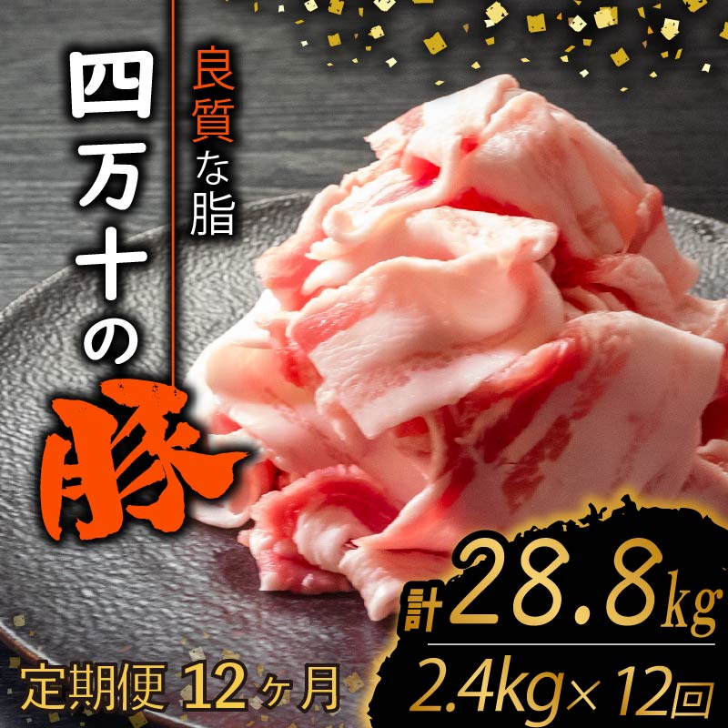 【ふるさと納税】 【定期便12回】四万十ポークスライス 計28.8kg（2.4kg×12ヶ月連続お届け) 2Mコース | 豚肉 豚バラ肉 小分け 小間切れ スライス 切り落とし 冷凍 真空パック 簡単調理 細切れ 大容量 肉 高知県 須崎市 ふるさと納税豚肉定期便 TM41000