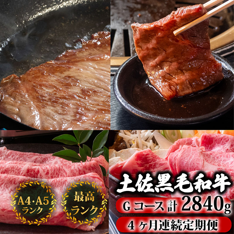 【ふるさと納税】 【4回定期便】土佐黒毛和牛 食べ比べ 2840g (計2.8kg以上) | Gコース 厳選 国産 和牛 すき焼き しゃぶしゃぶ ステーキ 焼き肉 お肉 霜降り 牛肉 ウデ肉 モモ肉 サーロイン 人気 小分け 数量限定 4ヵ月 頒布会 老舗 たけうちミート 高知県 須崎市 TM9000｜高知県須崎市