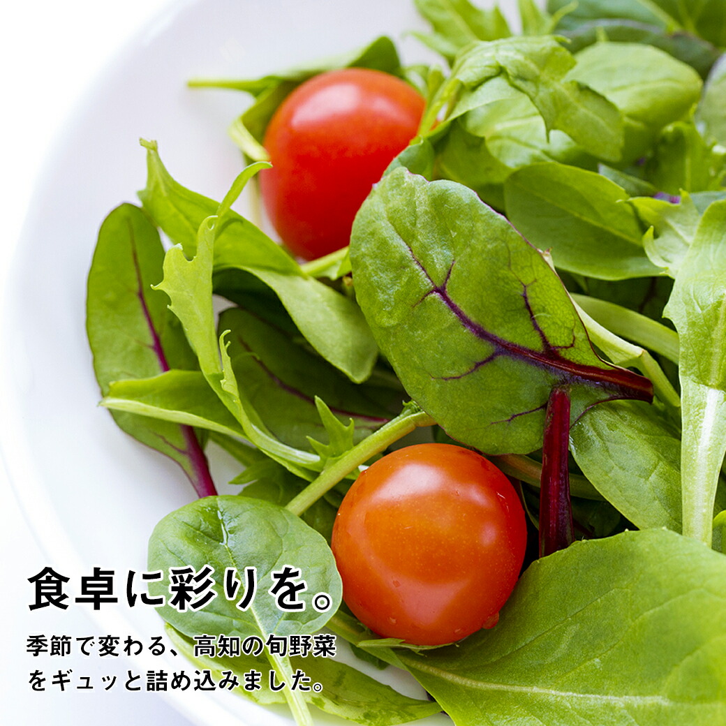 【ふるさと納税】【3ヶ月定期便】旬な野菜の詰め合わせ無農薬定期便新鮮野菜朝どれ
