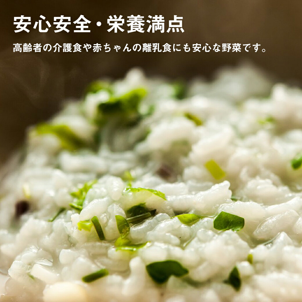 【ふるさと納税】【3ヶ月定期便】旬な野菜の詰め合わせ無農薬定期便新鮮野菜朝どれ