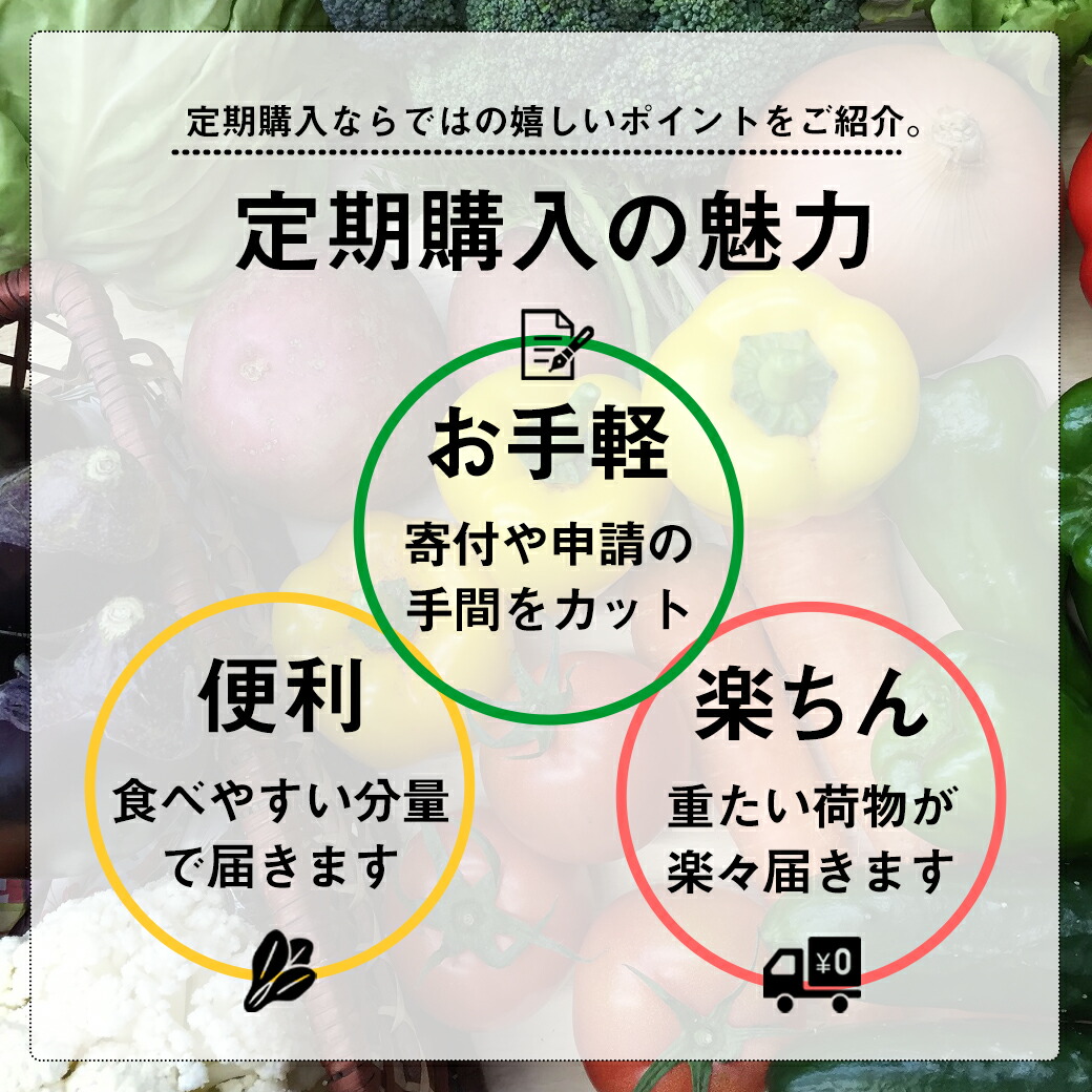 【ふるさと納税】【3ヶ月定期便】旬な野菜の詰め合わせ無農薬定期便新鮮野菜朝どれ