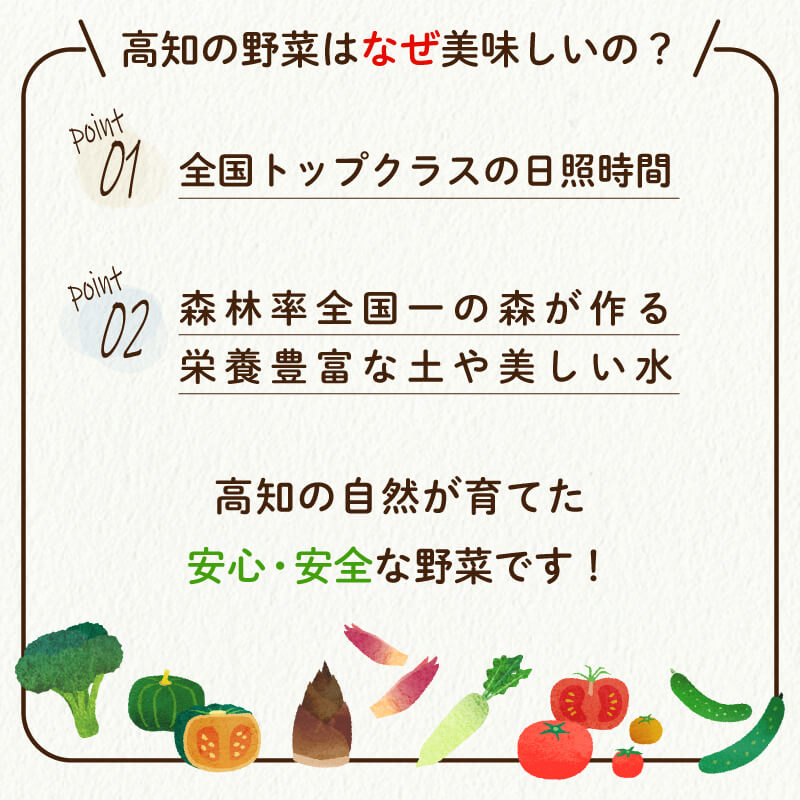【ふるさと納税】訳あり定期便旬な野菜のお楽しみ詰め合わせセット産地直送