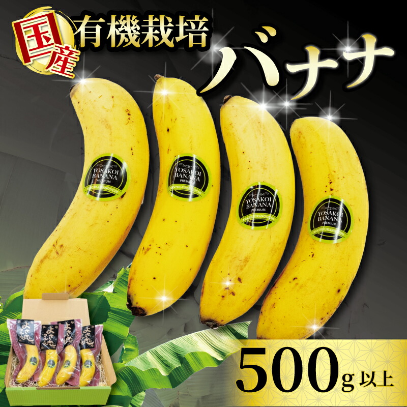 【ふるさと納税】  有機栽培 国産高級バナナ500g以上 糖度25度以上 果物 フルーツ 人気 ふるさと納税バナナ ふるさと納税果物 ふるさと納税フルーツ ふるさと納税 バナナふるさと納税 高知県 須崎市