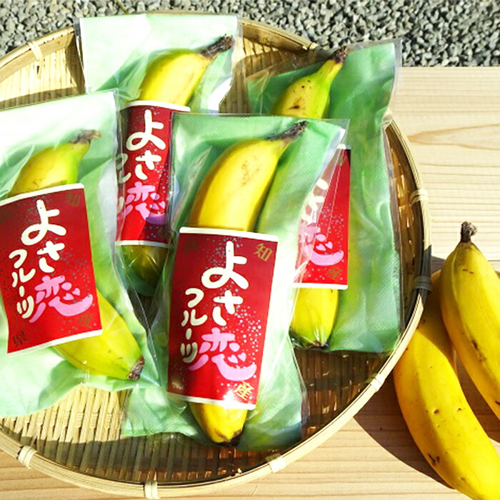 【ふるさと納税】バナナ 600g以上 有機栽培 無農薬 国産 高知 初 高知県 須崎市 【ふるさと納税】バナナ 600g以上 有機栽培 無農薬 国産 高知 初 高知県 須崎市