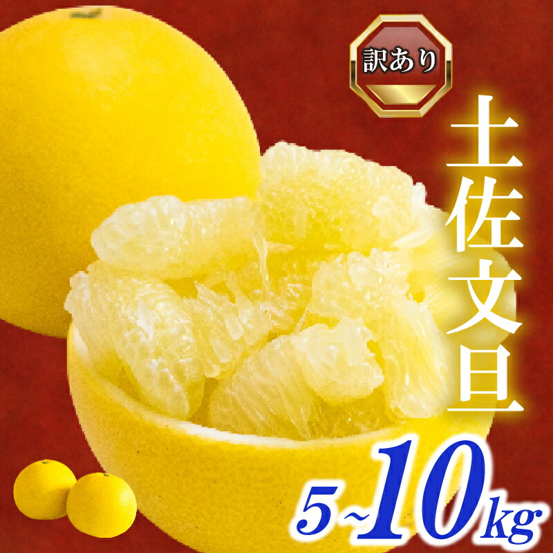 楽天市場】【ふるさと納税】 訳あり 土佐文旦 家庭用 3kg 4〜7玉 柑橘