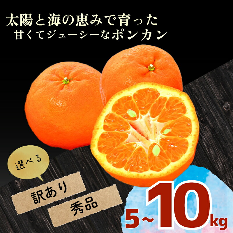 楽天市場】【ふるさと納税】 ポンカン 5kg 10kg 訳あり 秀品