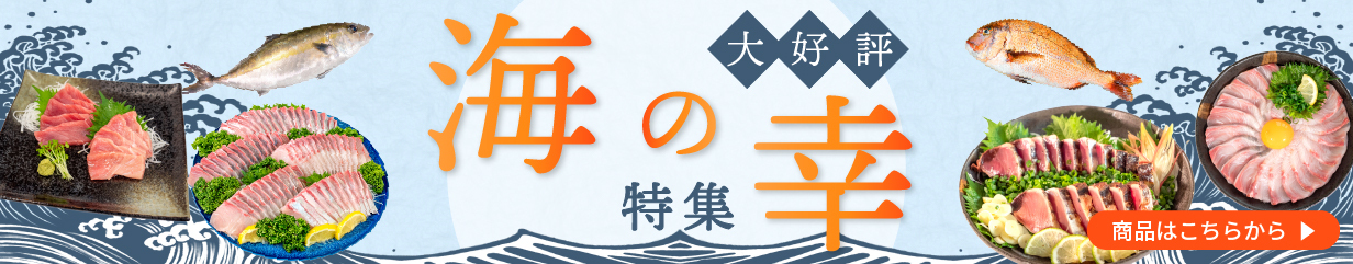 楽天市場】【ふるさと納税】 競走馬 支援 2万円 コース 黒潮友馬会応援