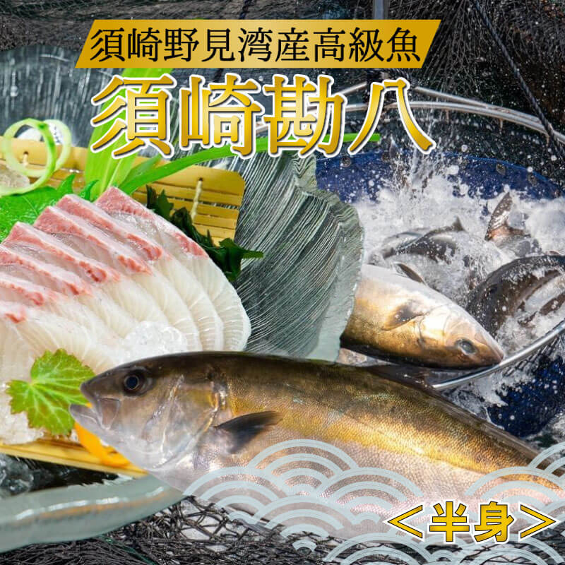 楽天市場】【ふるさと納税】 カンパチ 勘八 1節 300～400g 神経締め 高級 魚 産地直送 刺身 ぶりしゃぶ 照り焼き 刺し身 高知県 須崎市  : 高知県須崎市