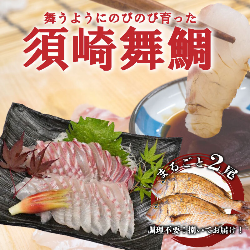 【ふるさと納税】 漁師自慢の逸品「須崎舞鯛」 お刺身用 2匹分 鯛 タイ たい 人気 刺身 高知 須崎