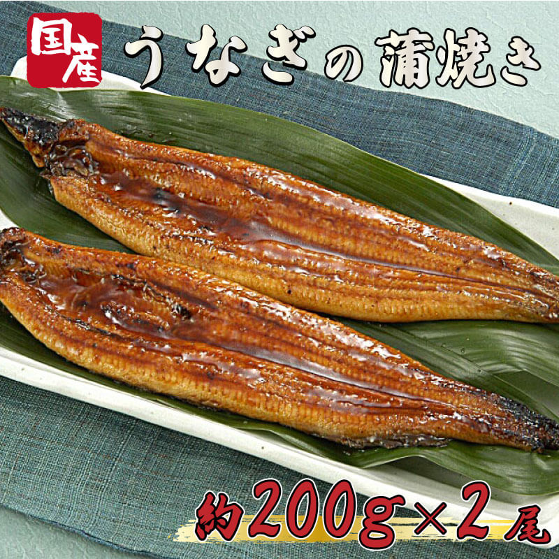 うなぎ 国産 高知県産 鰻 蒲焼 約 200g × 2尾 減塩 醤油 ベース 蒲焼きのタレ 付き 養殖 高知県 須崎市 当社の