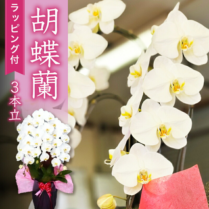 アウトドア 特集