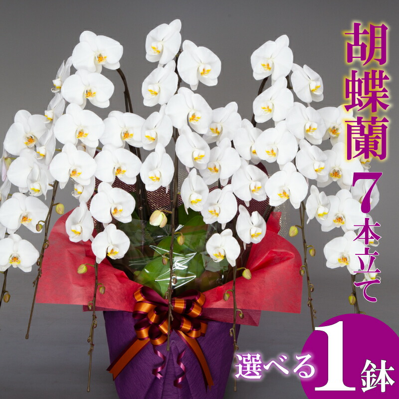 アウトドア 特集