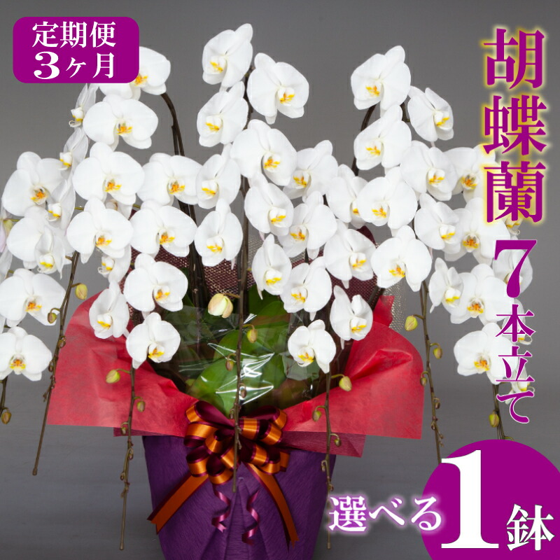 アウトドア 特集