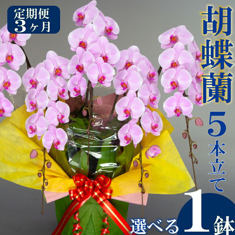 アウトドア 特集