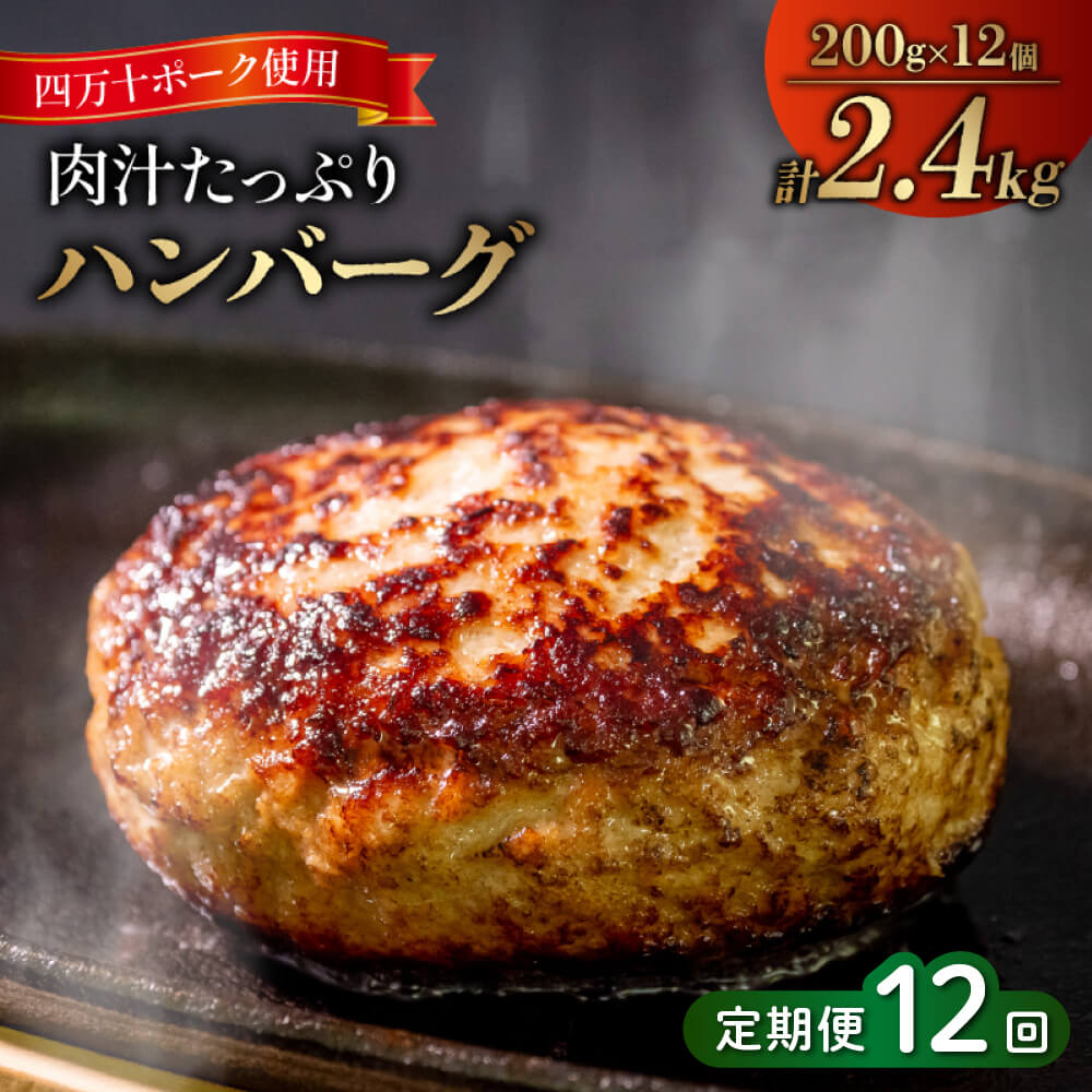 【ふるさと納税】 12ヶ月 定期便 四万十 ポーク 入り ハンバーグ 2.4kg ( 200g &times; 12個 ) 12回 冷凍 真空 小分け 個包装 肉汁たっぷり 大容量 合挽き 牛肉 豚肉 お弁当 おかず 惣菜 晩ごはん 贅沢 SNM2000人気ランキング 食品 お肉 お楽しみ バラエティ おすすめ 12回｜高知県須崎市 66,000円