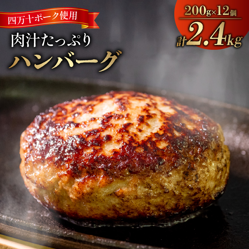 【ふるさと納税】ハンバーグ四万十ポーク2.4kgブランド豚化学調味料不使用保存料不使用高知県須崎市