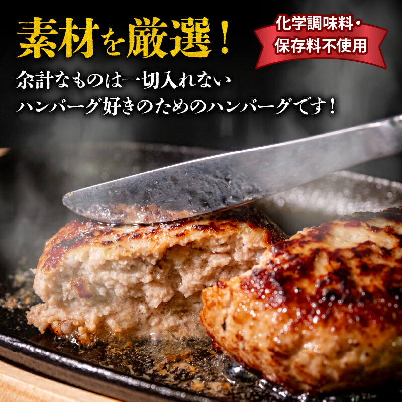 【ふるさと納税】ハンバーグ四万十ポーク2.4kgブランド豚化学調味料不使用保存料不使用高知県須崎市