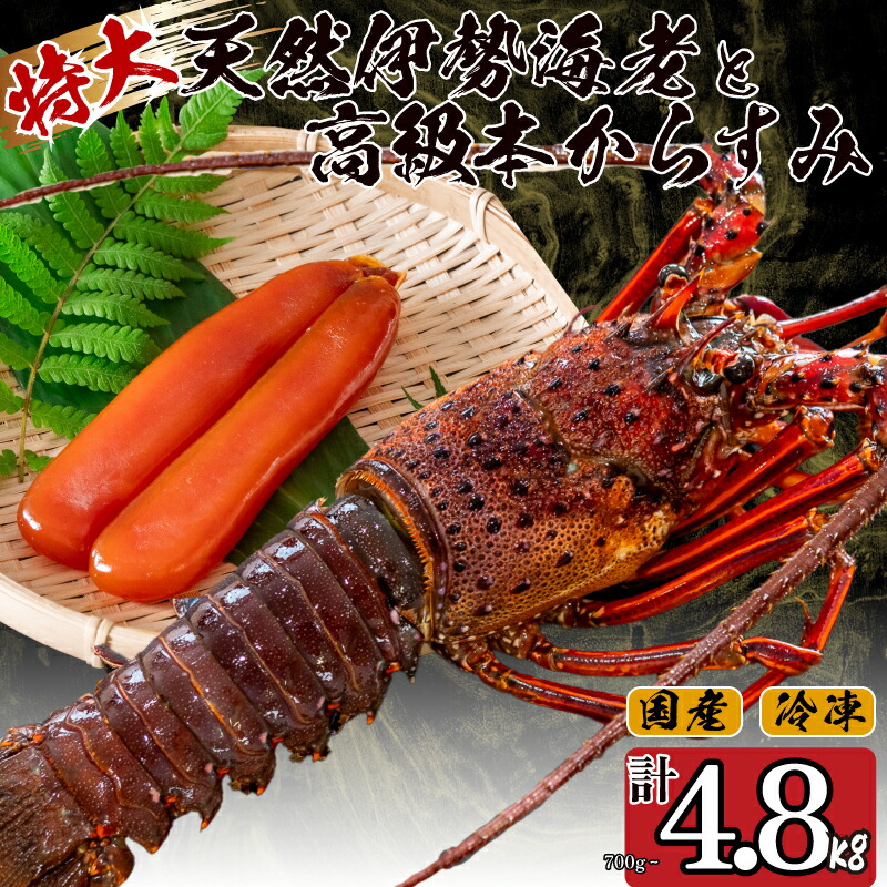 【ふるさと納税】 特大伊勢海老 1尾 ～ 7尾 高級 本からすみ 100g ～ 600g 選べる 容量 ( 特大サイズ 急速冷凍 えび エビ からすみ カラスミ 珍味 高級 鮮魚 海鮮 魚介 魚卵 刺身 焼き物 汁物 セット ギフト 贈答 贈り物 祝い 歳暮 中元 ふるさと納税伊勢海老｜高知県須崎市