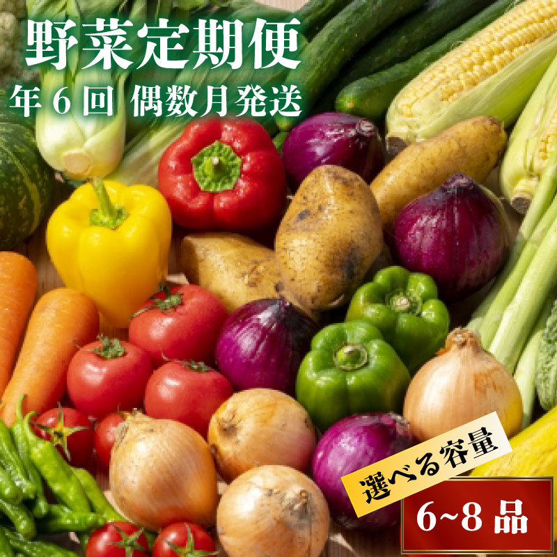 【ふるさと納税】  新鮮お野菜定期便 年 6回 偶数月発送 【2025年2月より順次発送】 旬 野菜 詰め合わせ セット やさい 送料無料 人気 ふるさと納税 野菜 ふるさと納税 定期便 ふるさと納税野菜 ふるさと納税定期便 食品 お楽しみ おすすめ 6ヶ月 春夏秋冬 旬 NK4000