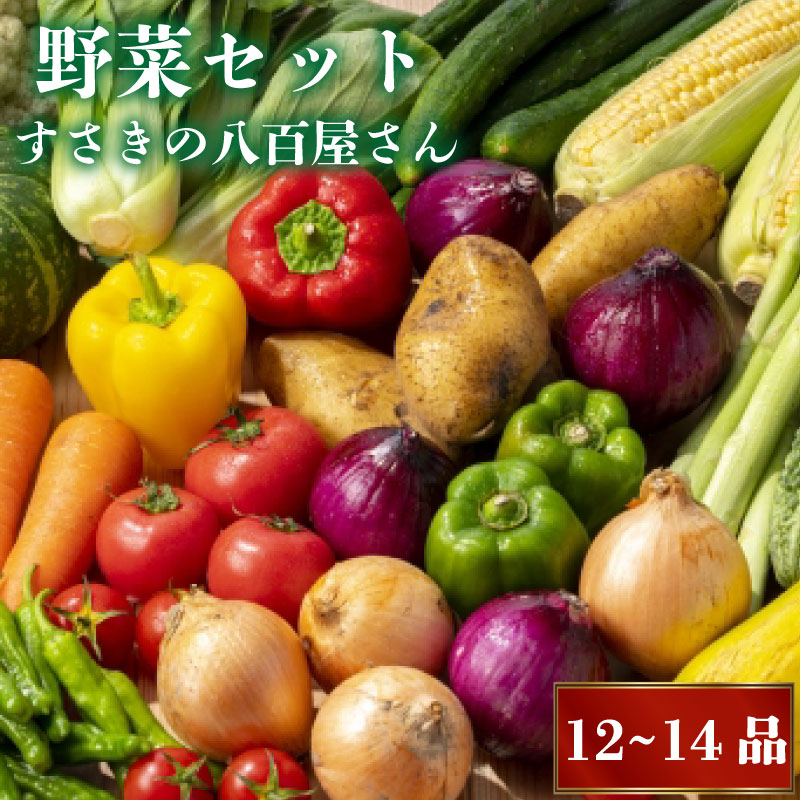 【ふるさと納税】 新鮮お野菜 12～14品目 2人暮らしセット 詰め合わせ 季節 旬 新鮮 産地直送 春夏秋冬 旬 人気 ふるさと納税 野菜 ふるさと納税 セット ふるさと納税野菜 ふるさと納税セット ふるさと納税詰め合わせ 高知県 須崎市  NK002