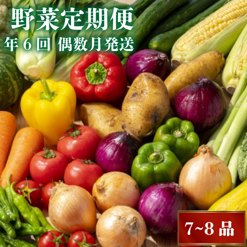【ふるさと納税】 【2025年2月より順次発送】 数量限定 定期便 野菜 7～8品目 6回 偶数月発送 南国土佐の新鮮お野菜 詰め合わせ お楽しみ セット 詰め合わせ 季節 新鮮 産地直送 ふるさと納税野菜 ふるさと納税 高知県 須崎市人気 食品 おすすめ 6ヶ月 春夏秋冬 旬 NK3000