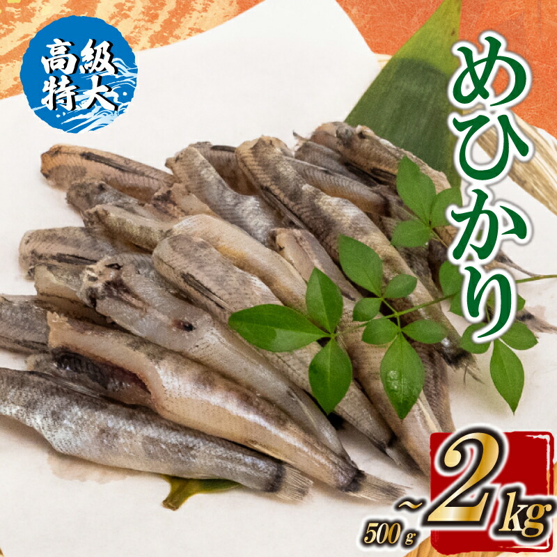 【ふるさと納税】 高級特大 めひかり 500g 1kg 2kg（大：10~13cm） 選べる容量 TKM023