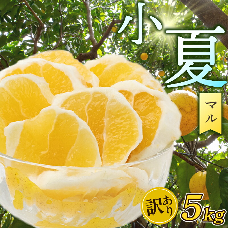 【ふるさと納税】 訳あり 小夏 ( 日向夏 )  5kg ニューサマーオレンジ 無印 マル 等級  旬 高知 県 須崎 産  柑橘 初夏 フルーツ 果物 こなつ コナツ ひゅうが夏 みかん わけあり HK002