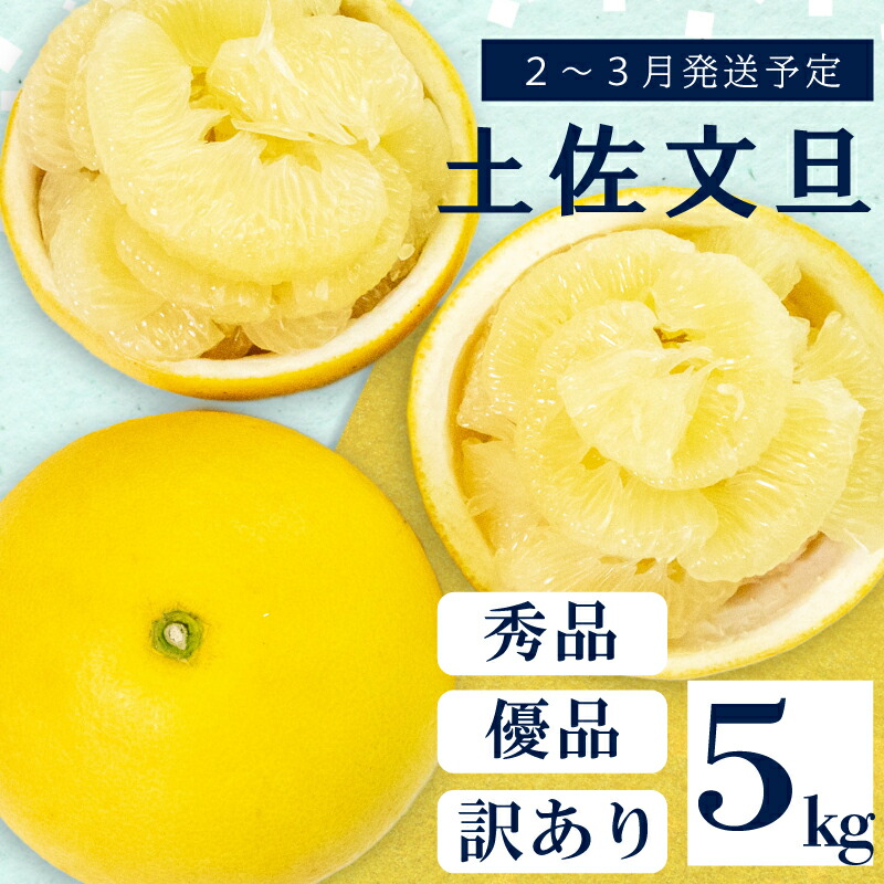 文旦　訳あり　アウトレット品　柑橘　28 楽天市場】【ふるさと納税】 早期予約受付開始 文旦 あわ地区 秀