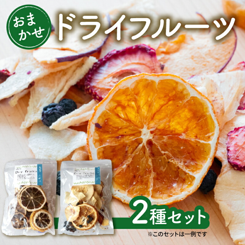 【ふるさと納税】 ドライフルーツ おまかせ ２種 セット 手作り 無添加 旬 フルーツ 果物 次郎柿 柿 ブラッドオレンジ みかん レモン いちご ブルーベリー 新高梨 梨 なし りんご くだもの 秋 旬 お試し ふるさと納税ドライフルーツ 人気 ふるさと納税 TJ0081
