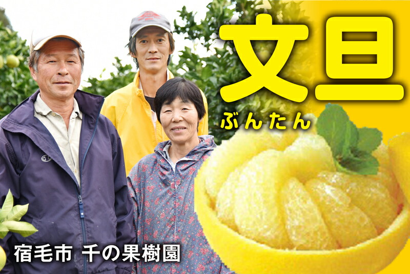 楽天市場】【ふるさと納税】 千の果樹園 土佐文旦 10kg 家庭用