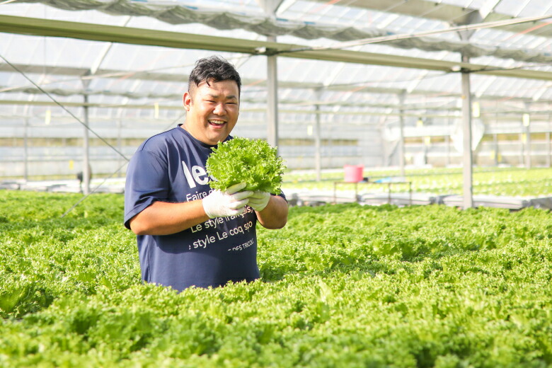 【ふるさと納税】 おかけんふぁーむ リーフレタス 栽培期間中農薬不使用 野菜 サラダ 葉物 グリーンリーフ レタス 有機栽培 自然栽培 オーガニック 新鮮 産地直送 健康 ビタミン ミネラル 食物繊維 低カロリー ダイエット 宿毛市 高知県 10000円