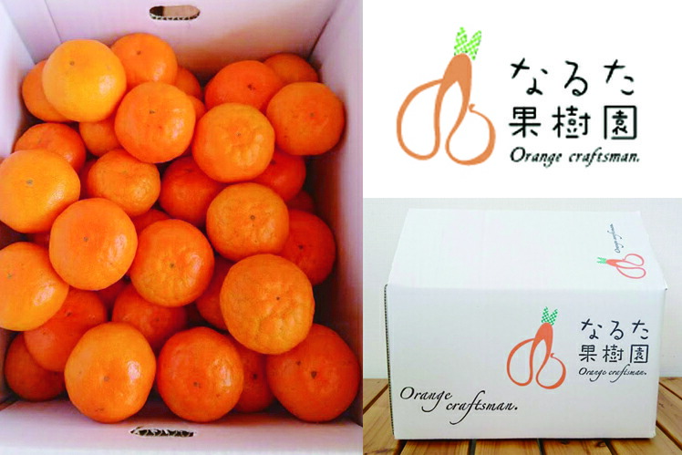 サクラ印 メキシコ産 純粋はちみつ 290g×12本 【北海道・沖縄・離島配送】