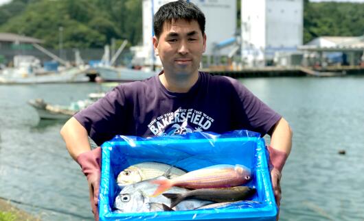 【ふるさと納税】 宿毛湾直送 土佐魚 詰合せセットA 高知県産 鮮魚 魚介類 海鮮 水産加工品 刺身 干物 寿司ネタ 食べ比べ グルメ ごちそう 贈答用 贈り物 お取り寄せ 特産品 旬の魚 冷凍 真空パック 地域支援 返礼品 寄付 宿毛市 高知県 10000円