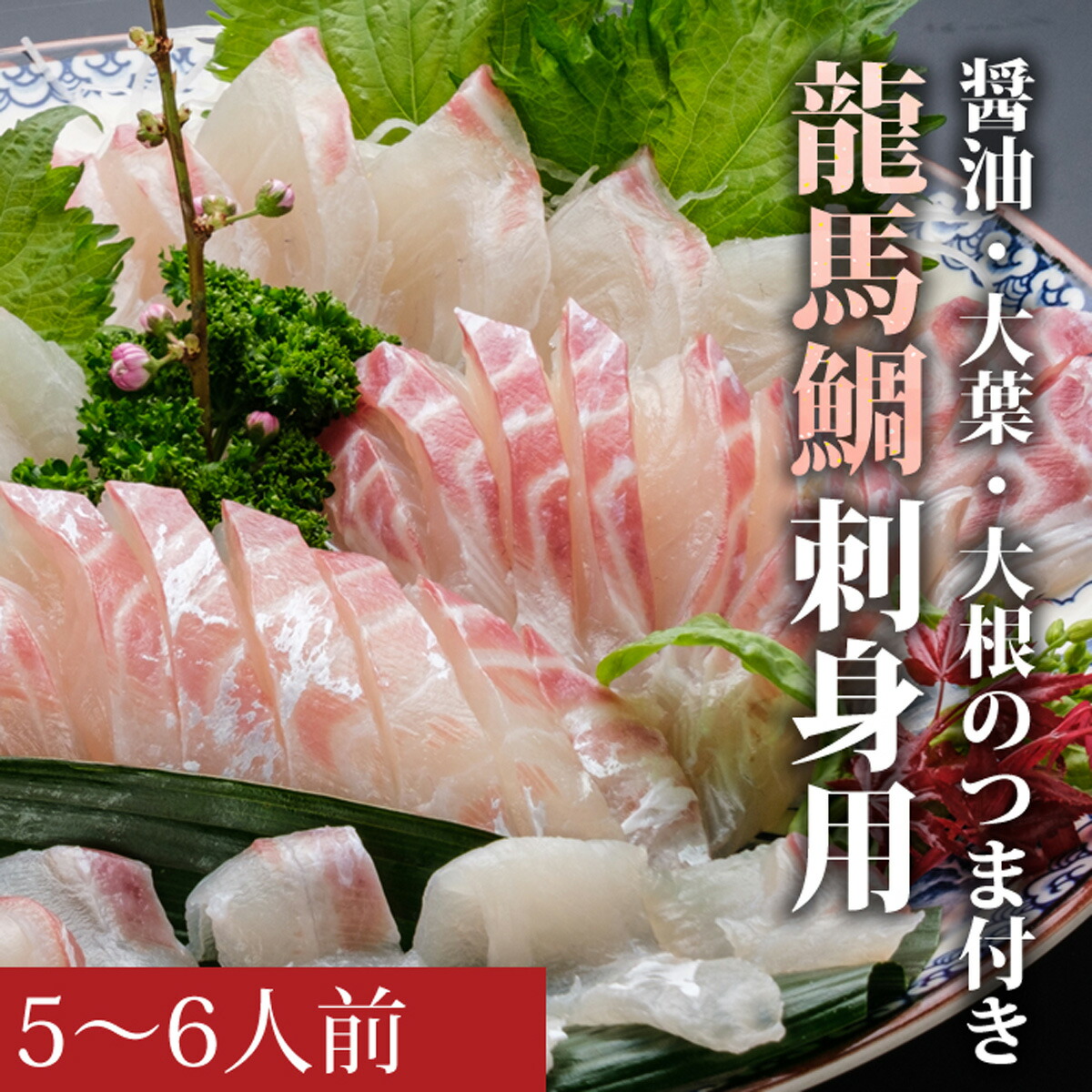 【ふるさと納税】龍馬鯛刺身用５～６人前セット