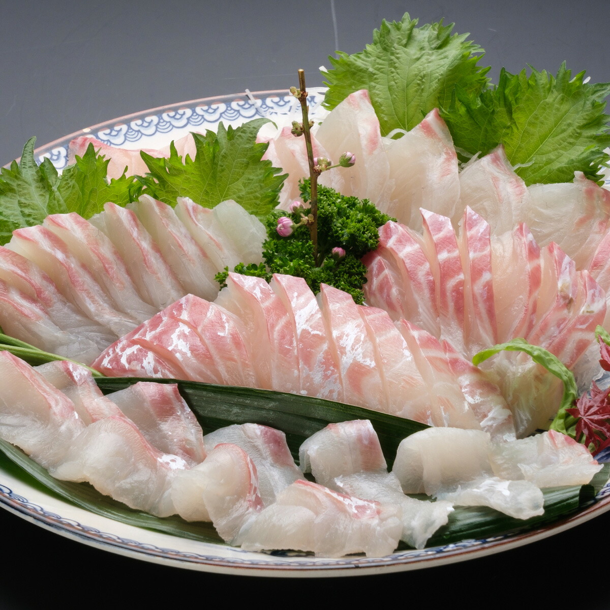 全国宅配無料 龍馬鯛刺身用５ ６人前セット Fucoa Cl