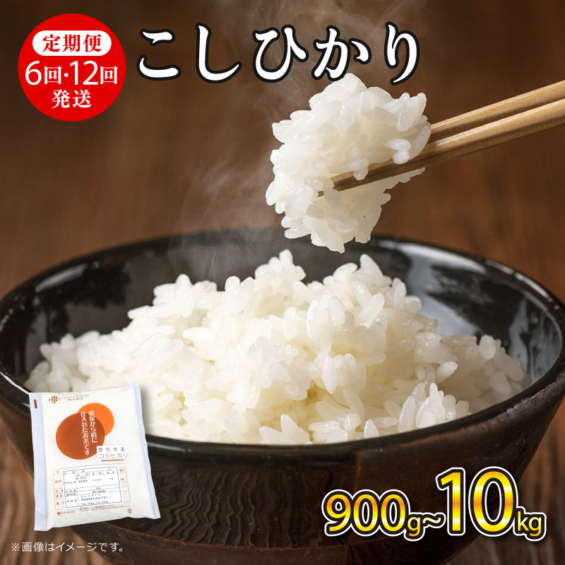 【ふるさと納税】 令和7年産 米 コシヒカリ 定期便 900g ~ 10kg 5kg お米 精米 白米 こめ おこめ 3kg 2kg 6回 12回 毎月 隔月 2025年産 R7 ふるさと米 ご飯 一人暮らし お試し 国産 産地直送 ギフト プレゼント 贈答 5000円 以下 ふるさと納税 宿毛市 高知県｜高知県宿毛市
