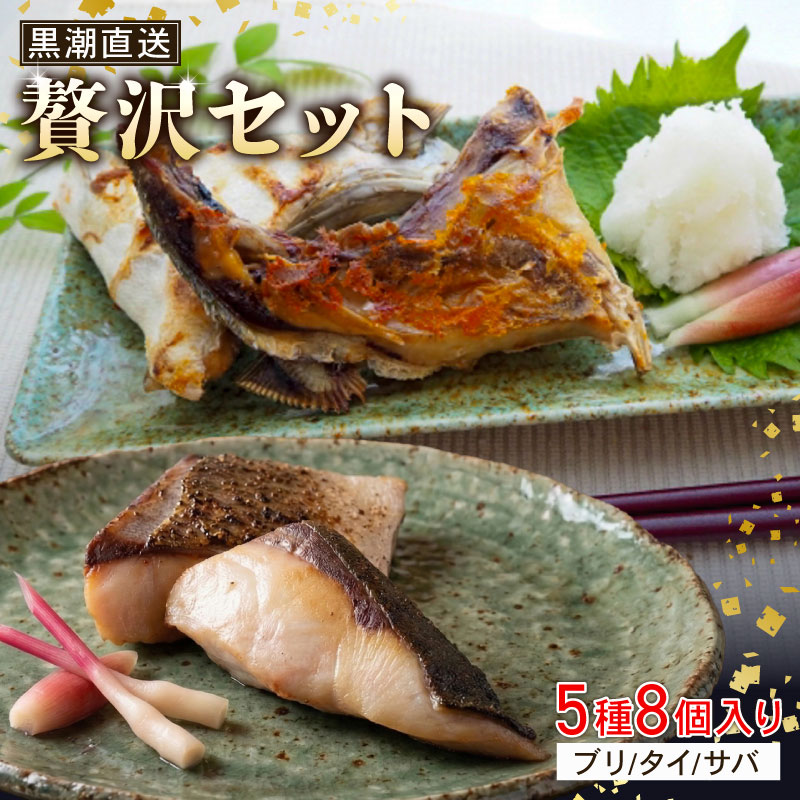 【ふるさと納税】 【小分けでお届け】詰め合わせ ( 干物 からあげ みりん漬け ) 5種 8個 魚介 セット 魚介類 冷凍 ぶり さば たい 魚 焼き魚 みりん漬け 鰤 鯖 鯛 水産加工品 小分け 惣菜 和食 おかず お惣菜 つまみ お弁当 お手軽 簡単 小分け 食べ比べ 高知県 宿毛市