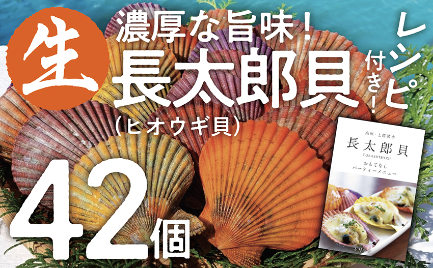 ヒオウギ貝42個セット ホタテの仲間 アウトドアbbq 最大45 Offクーポン アウトドアbbq