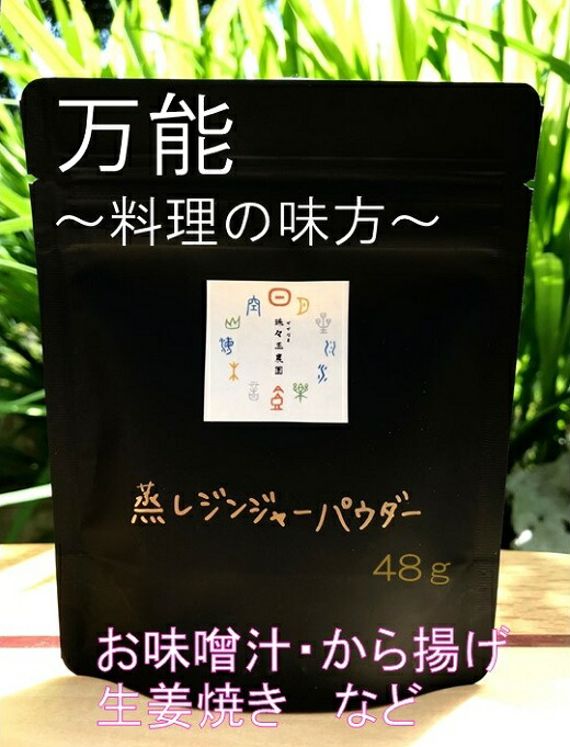 84％以上節約 クラフト社 NTドレッサー 2個セット 8658 他の商品と同梱不可 北海道 沖縄 離島別途送料 qdtek.vn