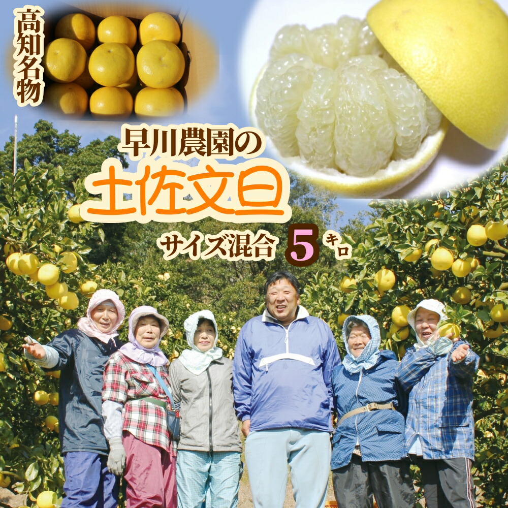 【ふるさと納税】R8 先行予約　早川農園の土佐文旦（５kg） 柑橘 フルーツ みかん ミカン 果物 果実 5キロ ザボン ぶんたん ブンタン おやつ デザート 甘い 美味しい おいしい  ギフト 贈答 土佐 名物 国産 高知県 高知 土佐清水 故郷納税 ふるさとのうぜい 返礼品【R00345】