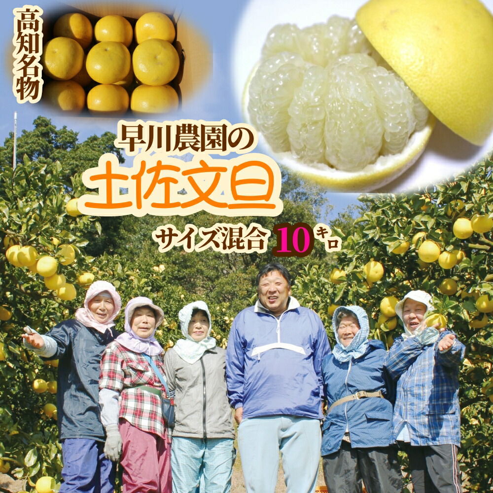 【ふるさと納税】R8 先行予約 早川農園の土佐文旦（10kg） 柑橘 フルーツ みかん ミカン 果物 果実 10キロ ザボン ぶんたん ブンタン おやつ デザート 甘い 美味しい おいしい ギフト 贈答 土佐 名物 国産 高知県 高知 土佐清水 故郷納税 ふるさとのうぜい 返礼品【R00579】