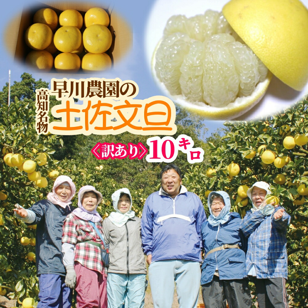 【ふるさと納税】R8 先行予約＜訳あり＞早川農園の土佐文旦（10kg） 柑橘 フルーツ みかん ザボン ぶんたん ブンタン 果実 果物 くだもの フルーツ デザート 柑橘類 おやつ わけあり 家庭用 10キロ 送料無料 高知 高知県 ギフト ふるさとのうぜい 故郷納税 返礼品【R01373】