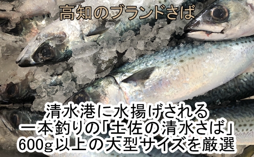 ふるさと納税 B 58 土佐の清水さば獲れたて〆鯖2枚炙り1枚ひとまとまり Cannes Encheres Com