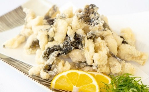 【ふるさと納税】うつぼの切り身（冷凍300g×２袋）から揚げ 天ぷら おつまみ 惣菜 フライ ウツボ うつぼ 冷凍配送 切り身 うつぼの天ぷら うつぼの唐揚げ 料理 調理 高知県 高知 名物 ふるさとのうぜい 故郷納税 返礼品 19000円【R00471】